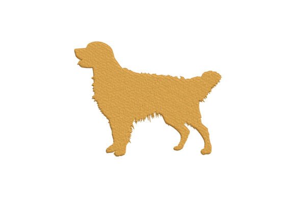 Download Elegant Golden Retriever Dog - Elegant Collection